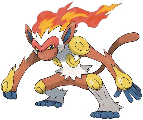 infernape|infernape database.